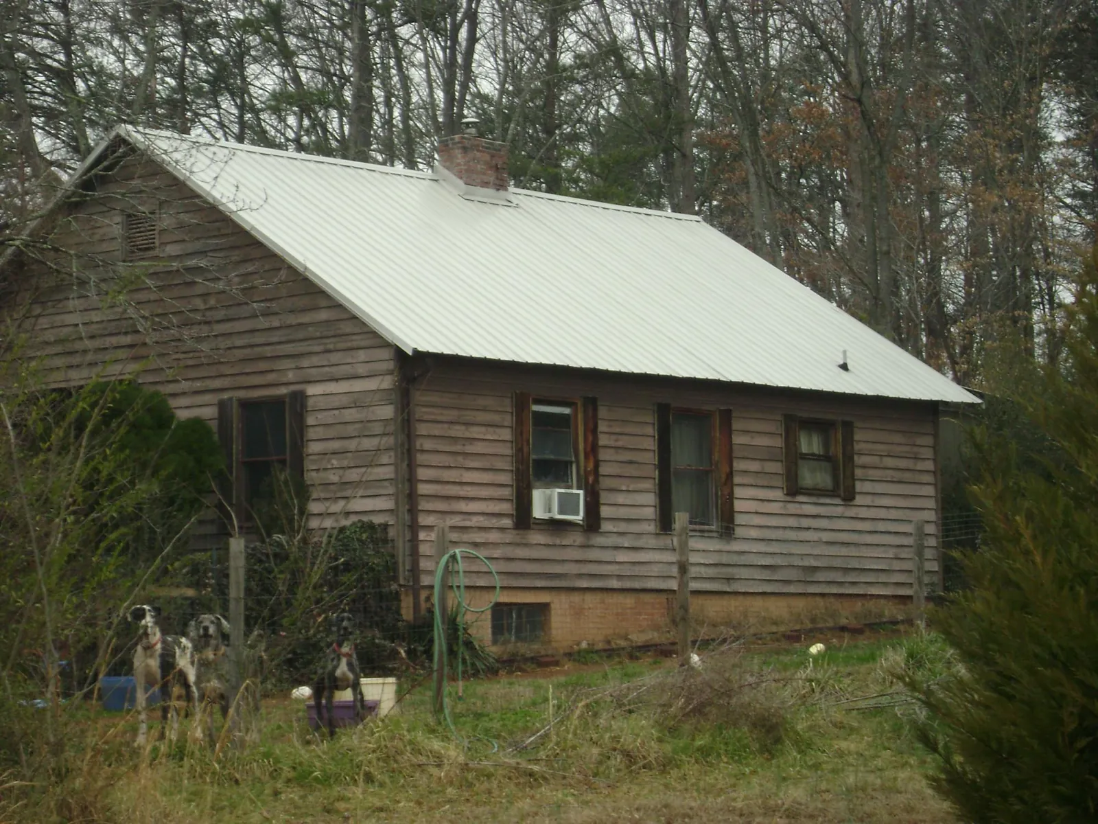 White metal roof on an old wood sided farmhouse, from a Asphalt Shingle Roof Repair job in Whiteland